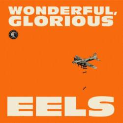 Eels : Wonderful, Glorious